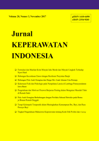 Jurnal Keperawatan Indonesia Volume 20 No 3 November 2017